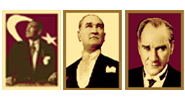 Halıya Resim